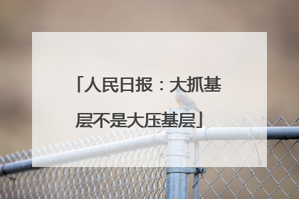 人民日报：大抓基层不是大压基层