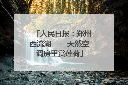 人民日报：郑州西流湖——天然空调房里赏莲荷