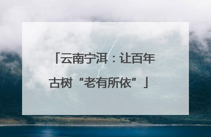 云南宁洱：让百年古树“老有所依”