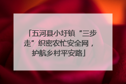 五河县小圩镇“三步走”织密农忙安全网，护航乡村平安路