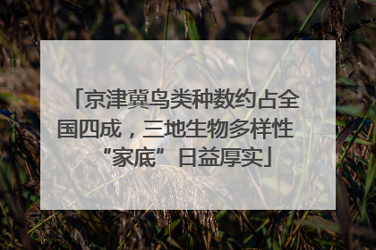 京津冀鸟类种数约占全国四成，三地生物多样性“家底”日益厚实
