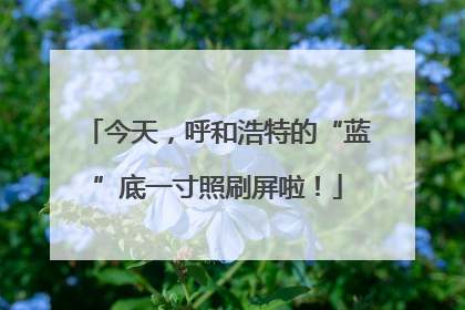 今天，呼和浩特的“蓝”底一寸照刷屏啦！