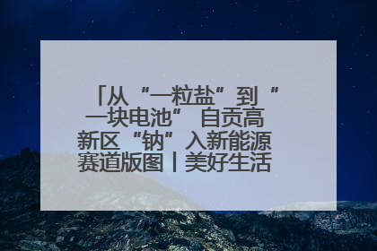 从“一粒盐”到“一块电池” 自贡高新区“钠”入新能源赛道版图丨美好生活有“盐”味