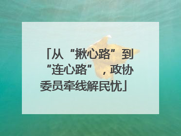 从“揪心路”到“连心路”，政协委员牵线解民忧