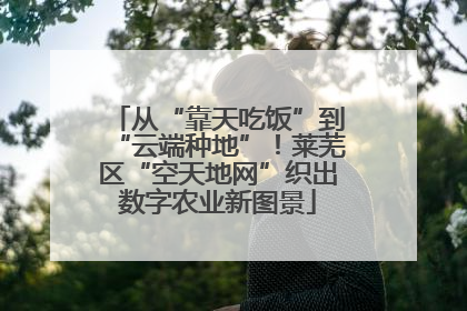从“靠天吃饭”到“云端种地”！莱芜区“空天地网”织出数字农业新图景