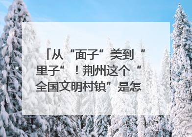 从“面子”美到“里子”！荆州这个“全国文明村镇”是怎样炼成的？