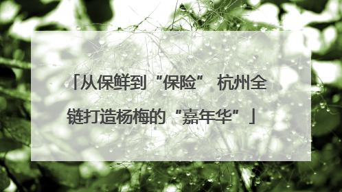 从保鲜到“保险” 杭州全链打造杨梅的“嘉年华”