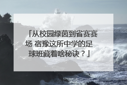 从校园绿茵到省赛赛场 宿豫这所中学的足球班藏着啥秘诀？