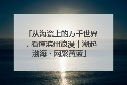 从海瓷上的万千世界，看懂滨州浪漫｜潮起渤海・网聚黄蓝