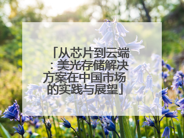 从芯片到云端：美光存储解决方案在中国市场的实践与展望