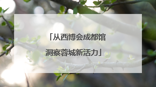从西博会成都馆洞察蓉城新活力