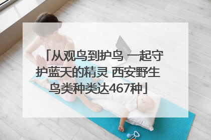 从观鸟到护鸟 一起守护蓝天的精灵 西安野生鸟类种类达467种