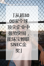 从超3000家全球顶尖企业中强势突围，能环宝蝉联SNEC金奖