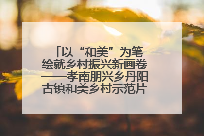 以“和美”为笔 绘就乡村振兴新画卷——孝南朋兴乡丹阳古镇和美乡村示范片区建设综述