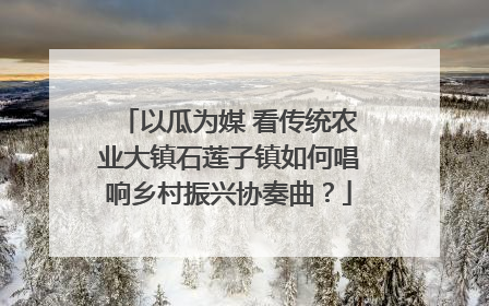 以瓜为媒 看传统农业大镇石莲子镇如何唱响乡村振兴协奏曲？