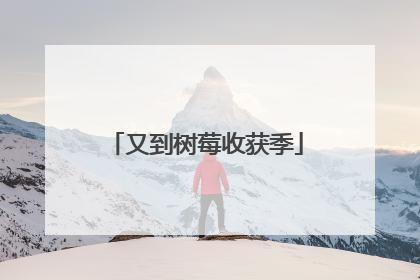 又到树莓收获季