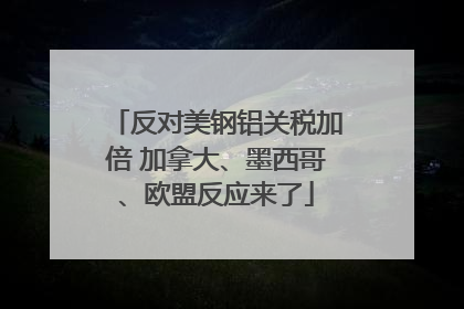 反对美钢铝关税加倍 加拿大、墨西哥、欧盟反应来了