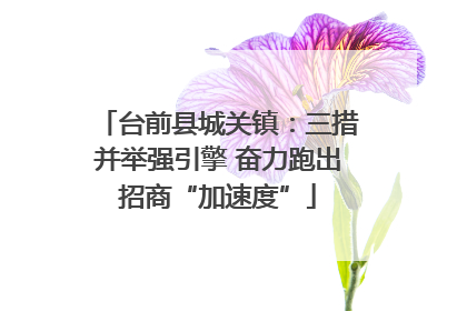 台前县城关镇：三措并举强引擎 奋力跑出招商“加速度”