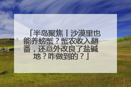 半岛聚焦丨沙漠里也能养螃蟹？蟹农收入翻番，还意外改良了盐碱地？咋做到的？