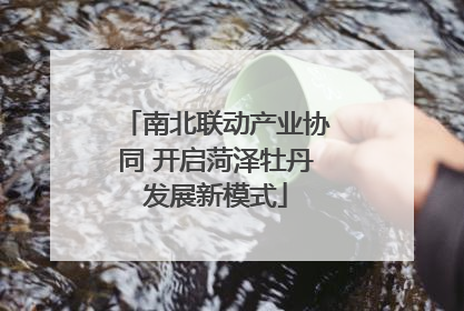 南北联动产业协同 开启菏泽牡丹发展新模式