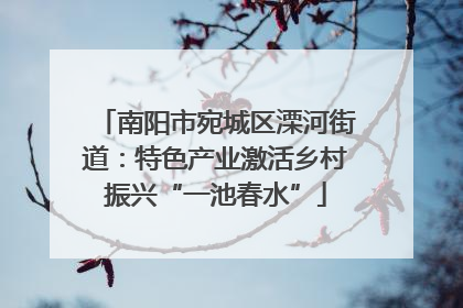 南阳市宛城区溧河街道：特色产业激活乡村振兴“一池春水”