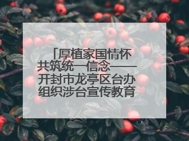 厚植家国情怀 共筑统一信念——开封市龙亭区台办组织涉台宣传教育进校园活动