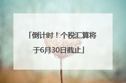 倒计时！个税汇算将于6月30日截止