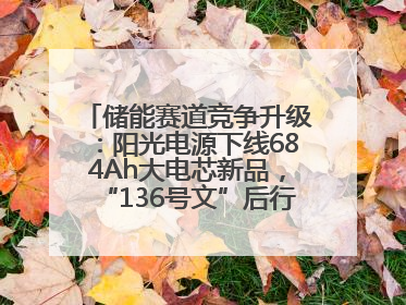 储能赛道竞争升级：阳光电源下线684Ah大电芯新品，“136号文”后行业将怎么走