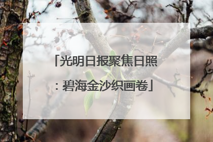 光明日报聚焦日照：碧海金沙织画卷