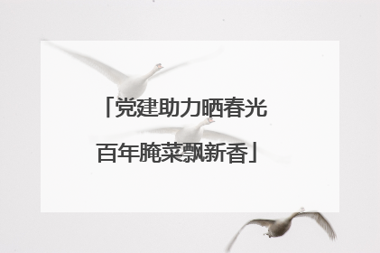 党建助力晒春光 百年腌菜飘新香