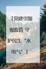 党建引领强监管 守护民生“水电气”