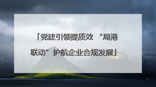 党建引领提质效 “局港联动”护航企业合规发展