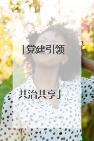 党建引领 共治共享