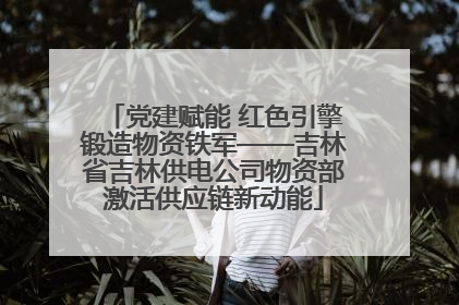 党建赋能 红色引擎锻造物资铁军——吉林省吉林供电公司物资部激活供应链新动能