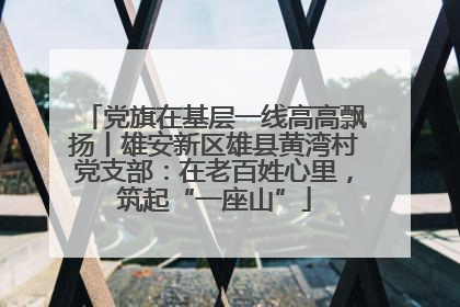 党旗在基层一线高高飘扬丨雄安新区雄县黄湾村党支部：在老百姓心里，筑起“一座山”