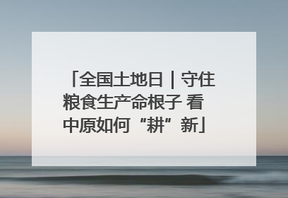 全国土地日｜守住粮食生产命根子 看中原如何“耕”新