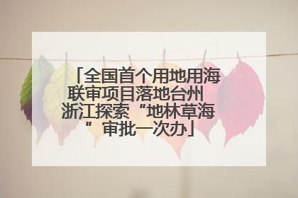 全国首个用地用海联审项目落地台州 浙江探索“地林草海”审批一次办