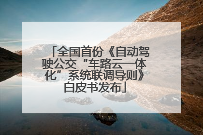 全国首份《自动驾驶公交“车路云一体化”系统联调导则》白皮书发布