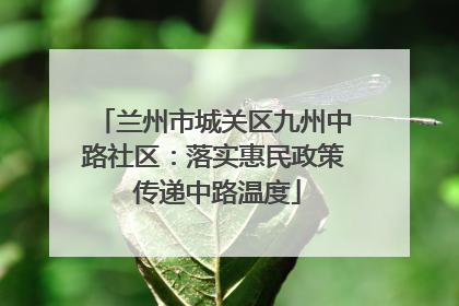 兰州市城关区九州中路社区：落实惠民政策 传递中路温度