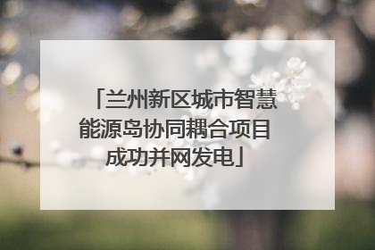 兰州新区城市智慧能源岛协同耦合项目成功并网发电