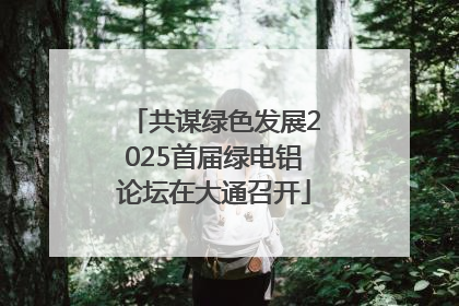 共谋绿色发展2025首届绿电铝论坛在大通召开
