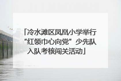 冷水滩区凤凰小学举行“红领巾心向党”少先队入队考核闯关活动