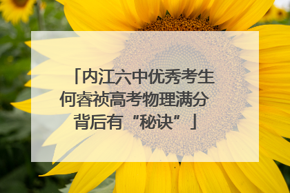 内江六中优秀考生何睿祯高考物理满分背后有“秘诀”