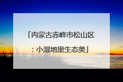 内蒙古赤峰市松山区：小湿地里生态美