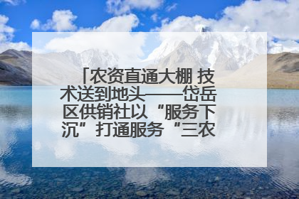 农资直通大棚 技术送到地头——岱岳区供销社以“服务下沉”打通服务“三农”最后一公里