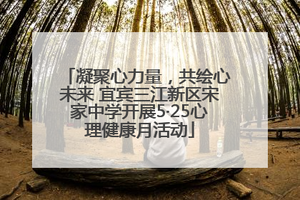 凝聚心力量，共绘心未来 宜宾三江新区宋家中学开展5·25心理健康月活动