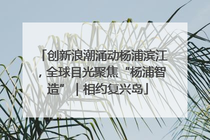 创新浪潮涌动杨浦滨江，全球目光聚焦“杨浦智造”｜相约复兴岛