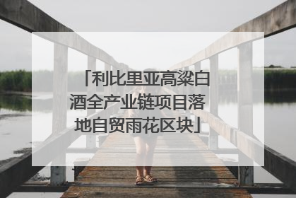 利比里亚高粱白酒全产业链项目落地自贸雨花区块