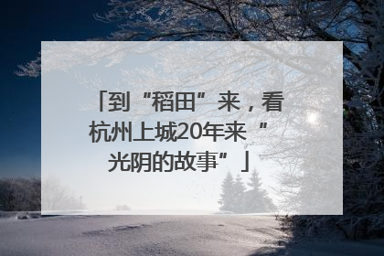 到“稻田”来，看杭州上城20年来“光阴的故事”