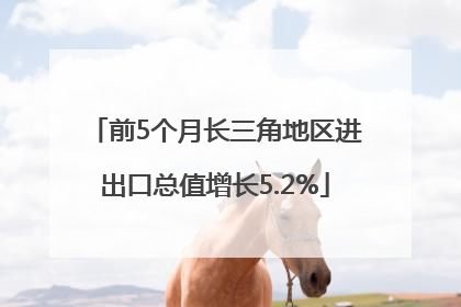 前5个月长三角地区进出口总值增长5.2%
